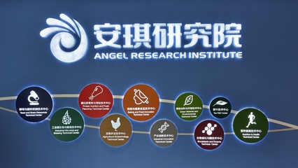 宜昌解法 抢滩“高智绿”新赛道，以尖端生物化工技术驱动新质生产力