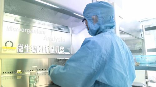 生物发酵技术引领行业新浪潮 一线研发如何破局与领航