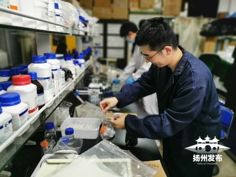 绿色科技新突破 扬州大学研发环保生物药剂，为植物健康保驾护航