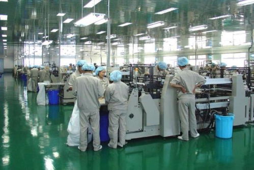 突破与互换 中国生物化工技术领域的博弈与自主创新