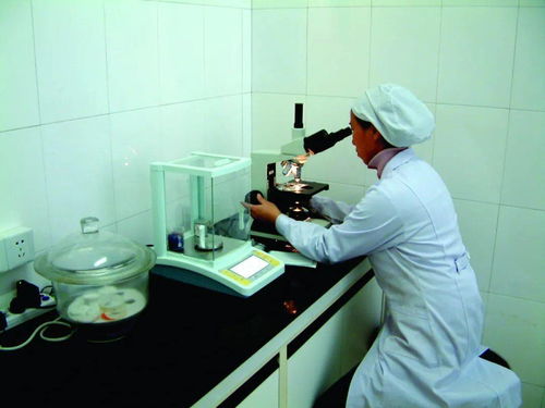 加速转化谋新篇 北大荒集团以生物化工技术重塑市场竞争力