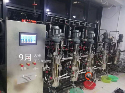 现代微生物发酵技术在生物化工产品研发中的创新应用与前景